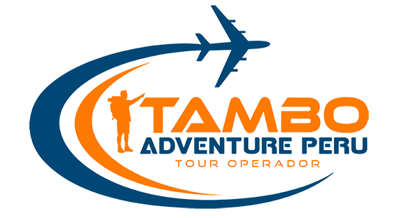 logo-tambo